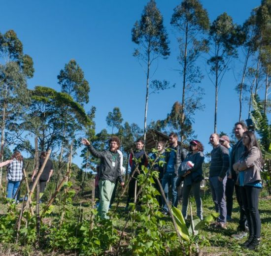 Acibalc adota prática sustentável que compensa gás carbônico com plantação de árvores