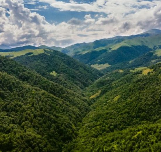 FACISC comemora alterações no Código Ambiental catarinense