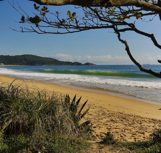 Praias agrestes de BC são aprovadas no programa Bandeira Azul 