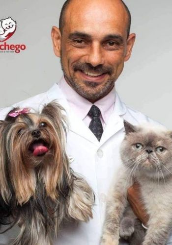 Médicos Veterinários Gestores